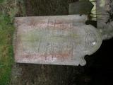 image number Ytfin074